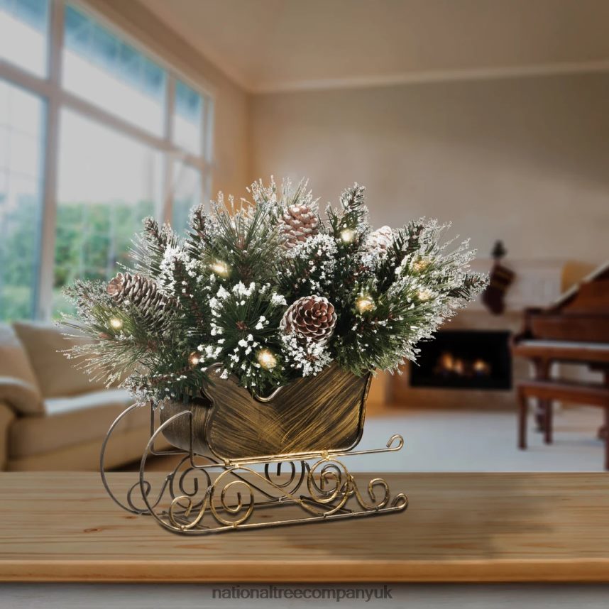 Greenery | National Tree Company 10\ Glittery Bristle Pine Sleigh with White Tipped Cones F2L4F441